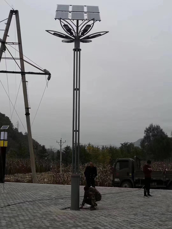 景觀燈施工現(xiàn)場